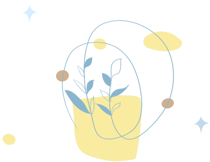 25.png 25.png